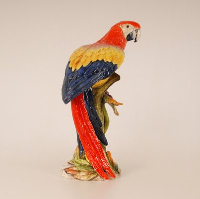 Italian Ceramic Parrot, 1970s-GOE-1034471