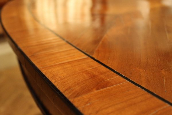 Italian Empire Style Oval Cherrywood and Ebony Dining Room Table, 19th Century-AXE-1433469