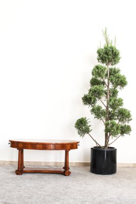 Italian Empire Style Table with Side Drawers in Walnut, 1950s-OAQ-1373461