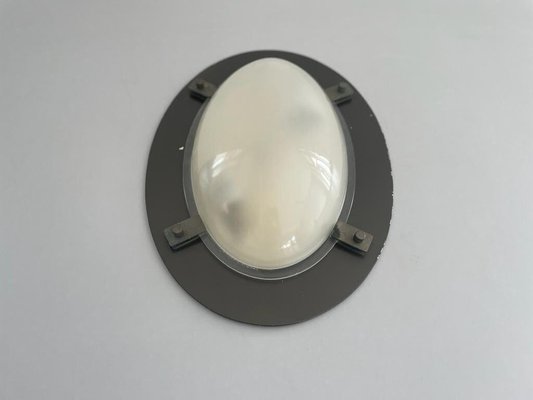 Italian Industrial Oval Glass and Black Backplate Ceiling Lamp, 1960s-RDS-1722836