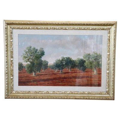 Italian Landscape With Olive Trees, 1970s, Oil on Canvas, Framed-DCO-1361335