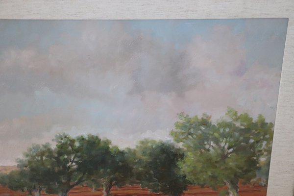 Italian Landscape With Olive Trees, 1970s, Oil on Canvas, Framed-DCO-1361335