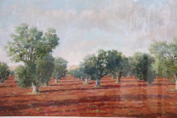 Italian Landscape With Olive Trees, 1970s, Oil on Canvas, Framed-DCO-1361335