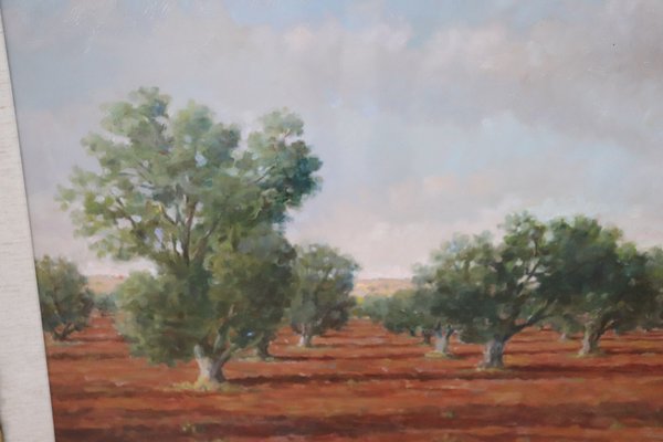 Italian Landscape With Olive Trees, 1970s, Oil on Canvas, Framed-DCO-1361335