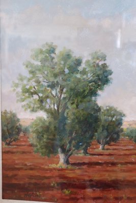 Italian Landscape With Olive Trees, 1970s, Oil on Canvas, Framed-DCO-1361335