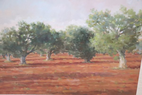 Italian Landscape With Olive Trees, 1970s, Oil on Canvas, Framed-DCO-1361335