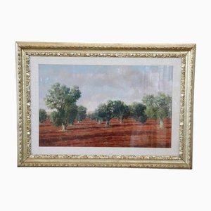 Italian Landscape With Olive Trees, 1970s, Oil on Canvas, Framed-DCO-1361335