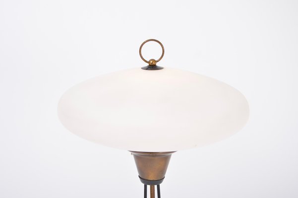 Italian Mid-Century Opaline Glass and Iron Floor Lamp in the Style of Stilnovo-FN-1029550