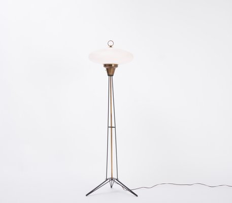 Italian Mid-Century Opaline Glass and Iron Floor Lamp in the Style of Stilnovo-FN-1029550