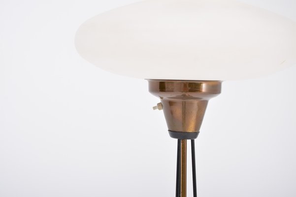 Italian Mid-Century Opaline Glass and Iron Floor Lamp in the Style of Stilnovo-FN-1029550