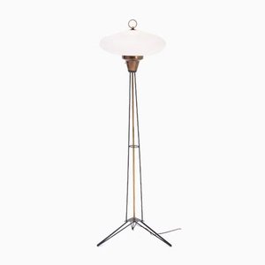 Italian Mid-Century Opaline Glass and Iron Floor Lamp in the Style of Stilnovo-FN-1029550