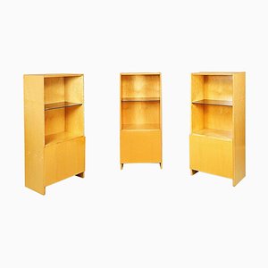 Italian Modern Light Briar with Smoked Glass Bookcase attributed to Saporiti, 1970s, Set of 3-GDD-1419219