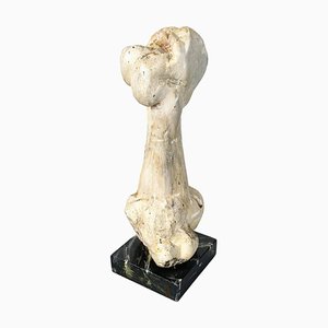 Italian Modern Wooden Sculpture of a Bone by N. F. Puccio, 1990s-GDD-1781079