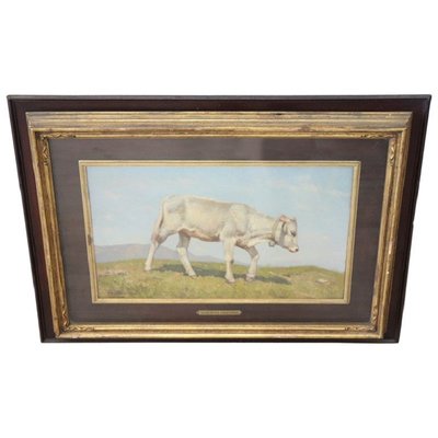 Italian Oil on Board with Calf by Alberto Cecconi-DCO-1028357