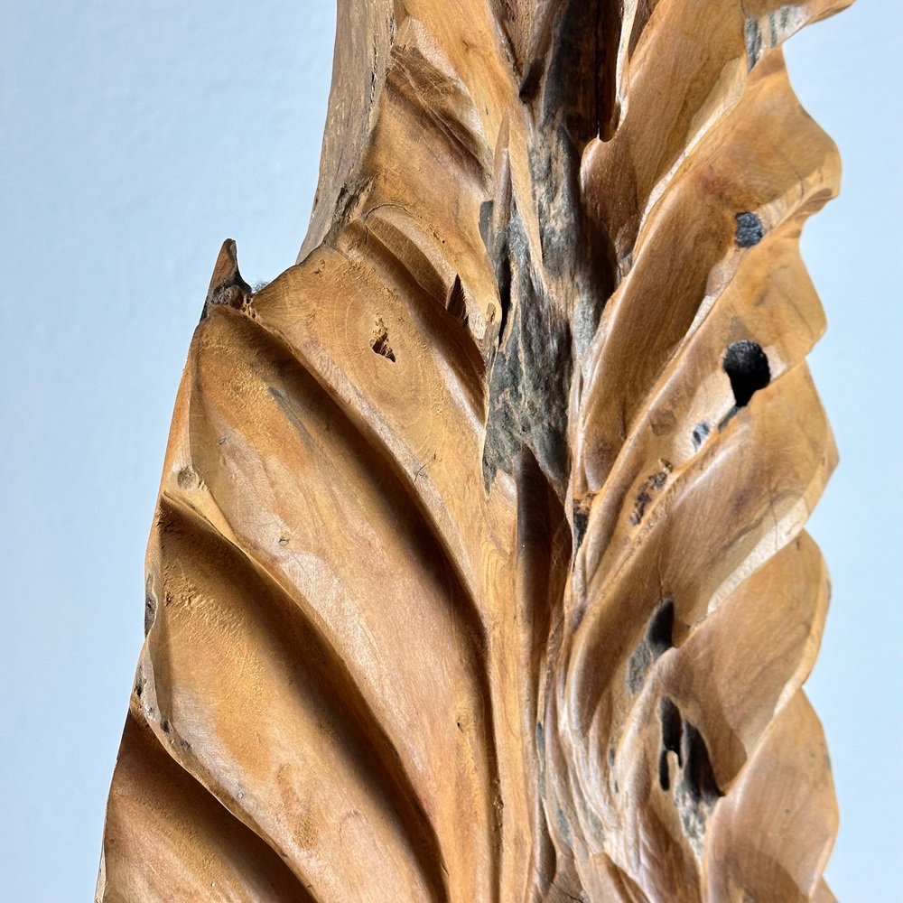 Italian Phytomorphic Abstract Sculpture in Natural Ash, 1960s