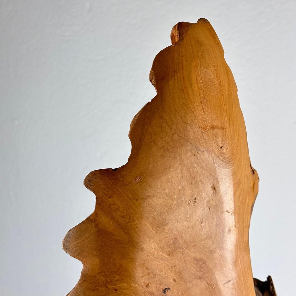 Italian Phytomorphic Abstract Sculpture in Natural Ash, 1960s