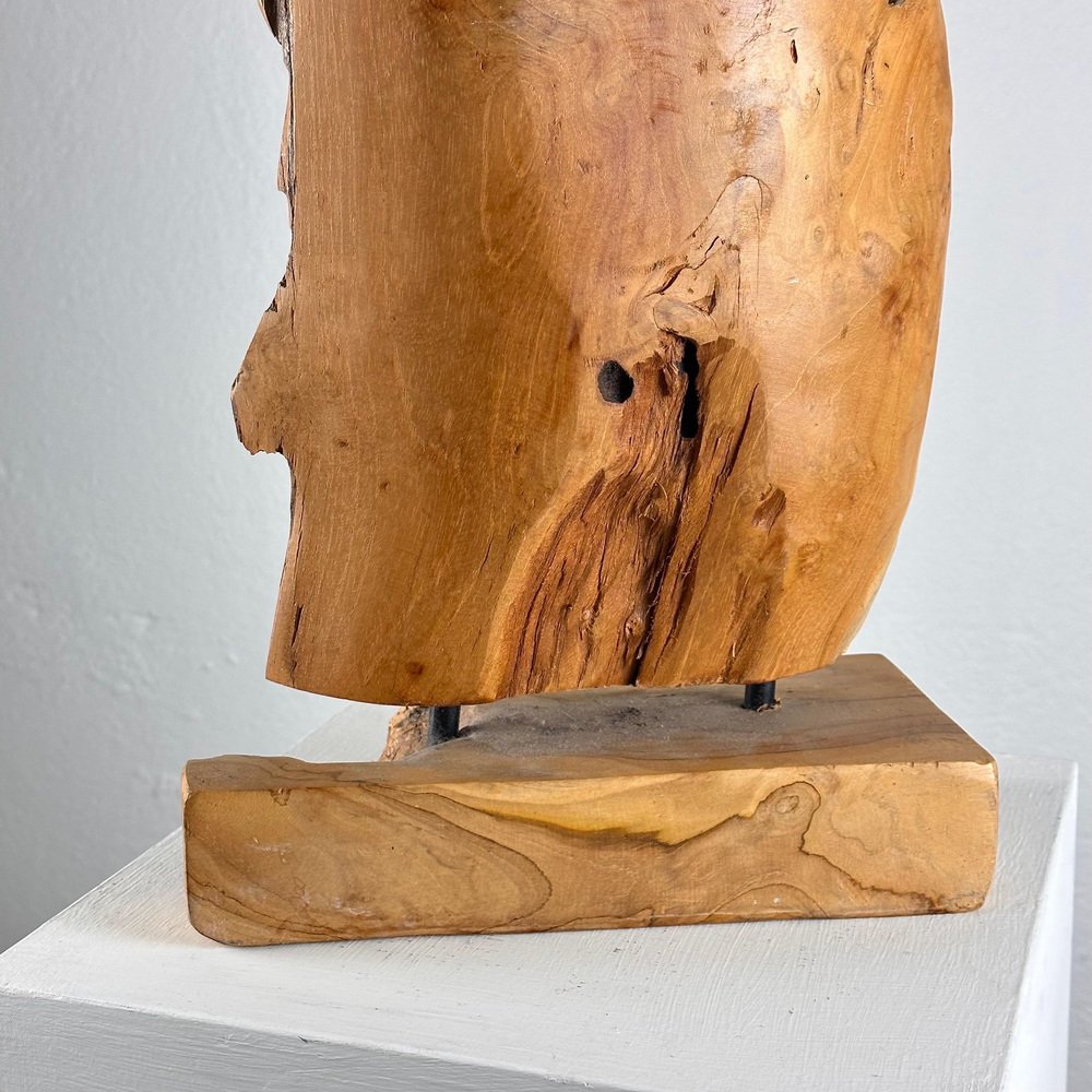 Italian Phytomorphic Abstract Sculpture in Natural Ash, 1960s