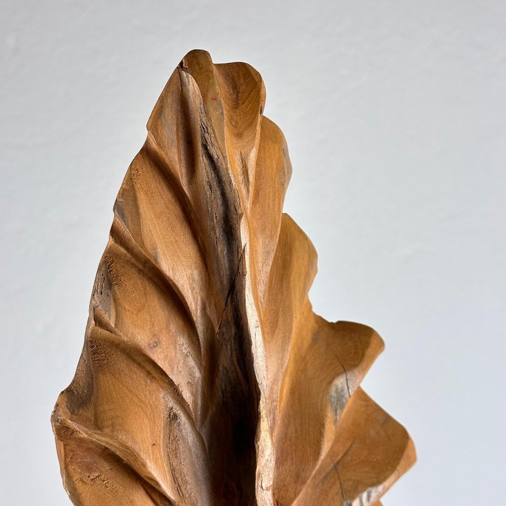 Italian Phytomorphic Abstract Sculpture in Natural Ash, 1960s