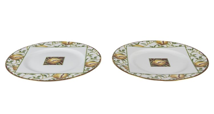 Italian Porcelain Plates from Richard Ginori, Set of 2-ZVH-825842