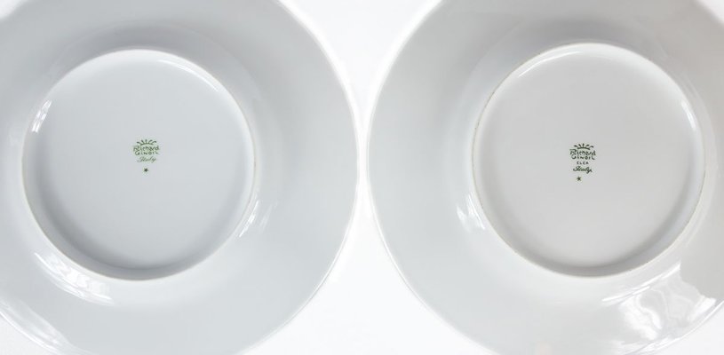 Italian Porcelain Plates from Richard Ginori, Set of 2-ZVH-825842