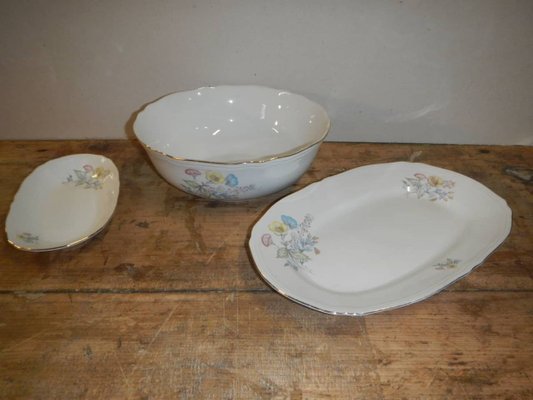 Italian Porcelain Tableware Set by Richard Ginori for Ariston, 1950s, Set of 15-WWQ-890458