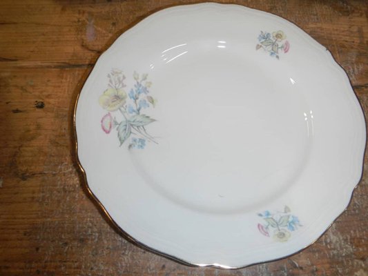 Italian Porcelain Tableware Set by Richard Ginori for Ariston, 1950s, Set of 15-WWQ-890458