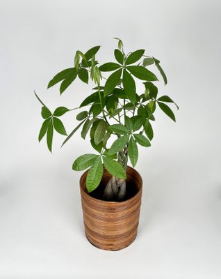 Italian Rattan and Bamboo Round Basket Plant Holder Vase, 1960s-LYQ-1272839