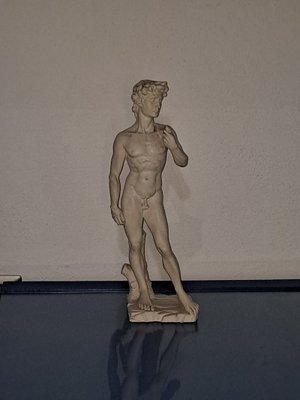 Italian Statue of David After Michelangelo-HIT-1193705