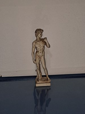 Italian Statue of David After Michelangelo-HIT-1193705