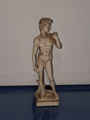 Italian Statue of David After Michelangelo-HIT-1193705