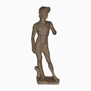 Italian Statue of David After Michelangelo-HIT-1193705