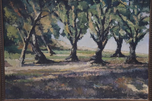 Italian Woodland Landscape Painting, 1920s, Oil on Canvas, Framed-DCO-1192354