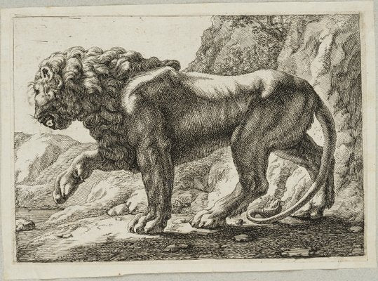 J. Meyer, Pacing Lion, 17th-Century, Etching-OJR-1273471