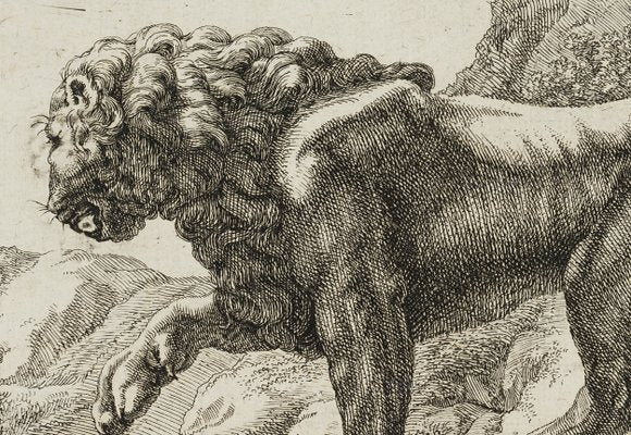 J. Meyer, Pacing Lion, 17th-Century, Etching-OJR-1273471