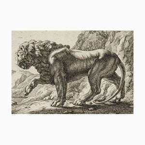 J. Meyer, Pacing Lion, 17th-Century, Etching-OJR-1273471