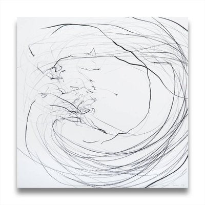 Jaanika Peerna, Small Maelstrom, Pigment Pencil on Mylar, 2009-RMD-1443838