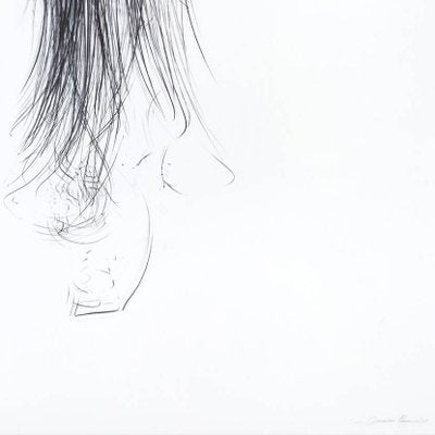 Jaanika Peerna, Spill, Pencil Drawing on Mylar, 2011-RMD-1443840