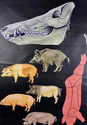 Jabali and Pork Poster, 1968-ROJ-1317602