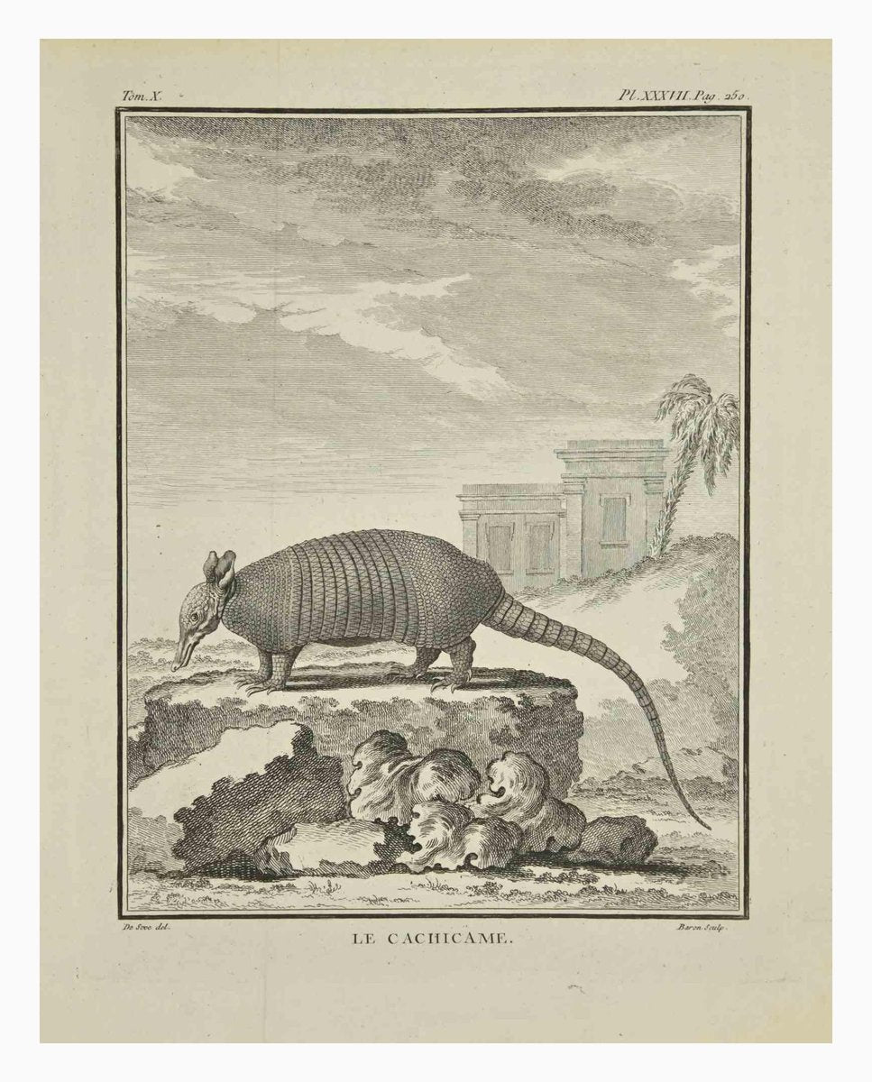 Jacques Baron, Le Caciicame, Etching, 1771