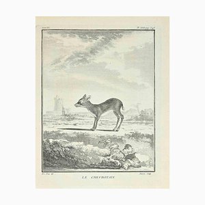 Jacques Baron, Le Chevrotain, Etching, 1771-ZCI-2029953