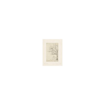 James Ensor, L'acacia, 1888, Drypoint Etching-PLZ-1752002