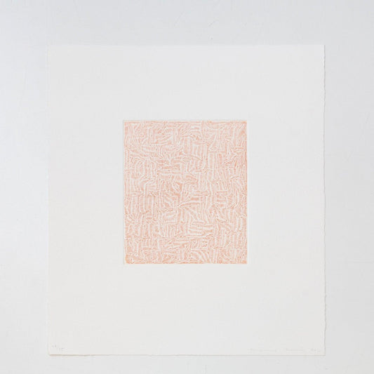 James Siena, Arrow Path Between Parallel Lines, 2011, Etching