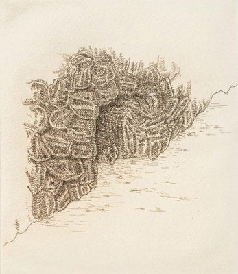 James Siena, Cova, 2011, Etching-WM-1312717