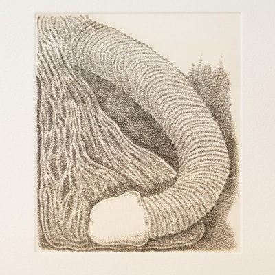 James Siena, Membre, 2011, Etching-WM-1297991