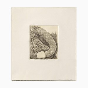 James Siena, Membre, 2011, Etching-WM-1297991