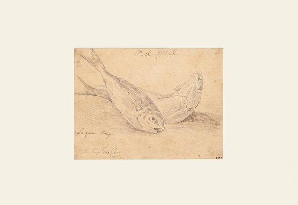 Jan Peter Verdussen - the Fish - Original Pencil On Paper - 1775 Ca.-ZCI-870926