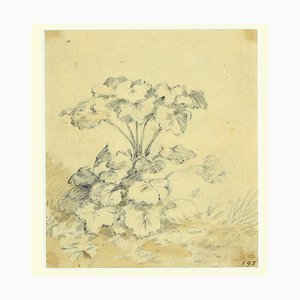 Jan Pieter Verdussen - Flowers - Original China Ink Drawing by Jan Pieter Verdussen - 1740-ZCI-806141