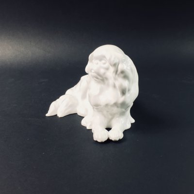 Japanese Chin Figurine by Erich Hösel for Meissen, 1950s-BMM-564920