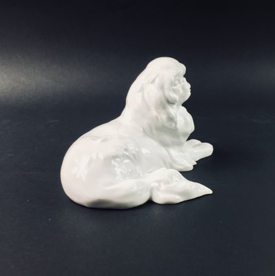 Japanese Chin Figurine by Erich Hösel for Meissen, 1950s-BMM-564920