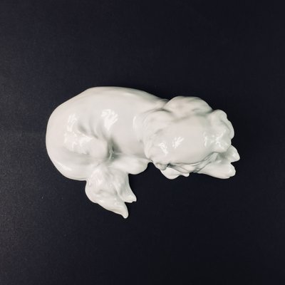 Japanese Chin Figurine by Erich Hösel for Meissen, 1950s-BMM-564920